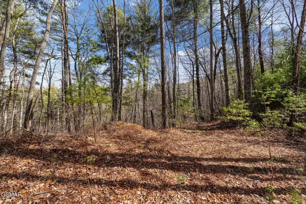 12 Paint Horse Way, Sevierville, TN 37876