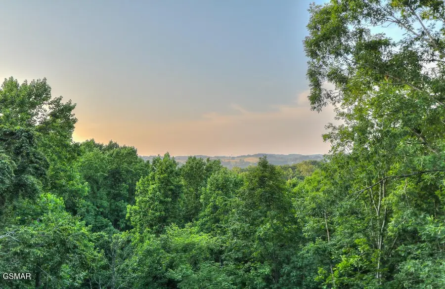 339 Oak Haven Way, Sevierville, TN 37876 - #3