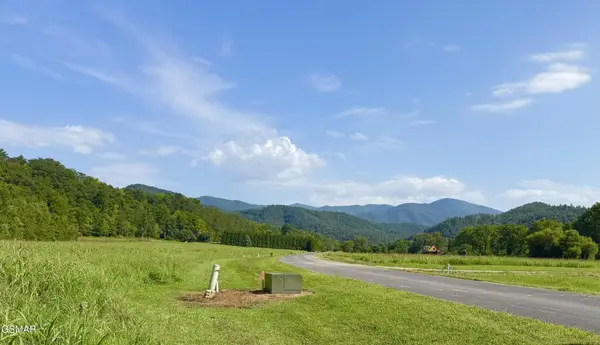 145 River Rapids Way, Del Rio, TN 37727