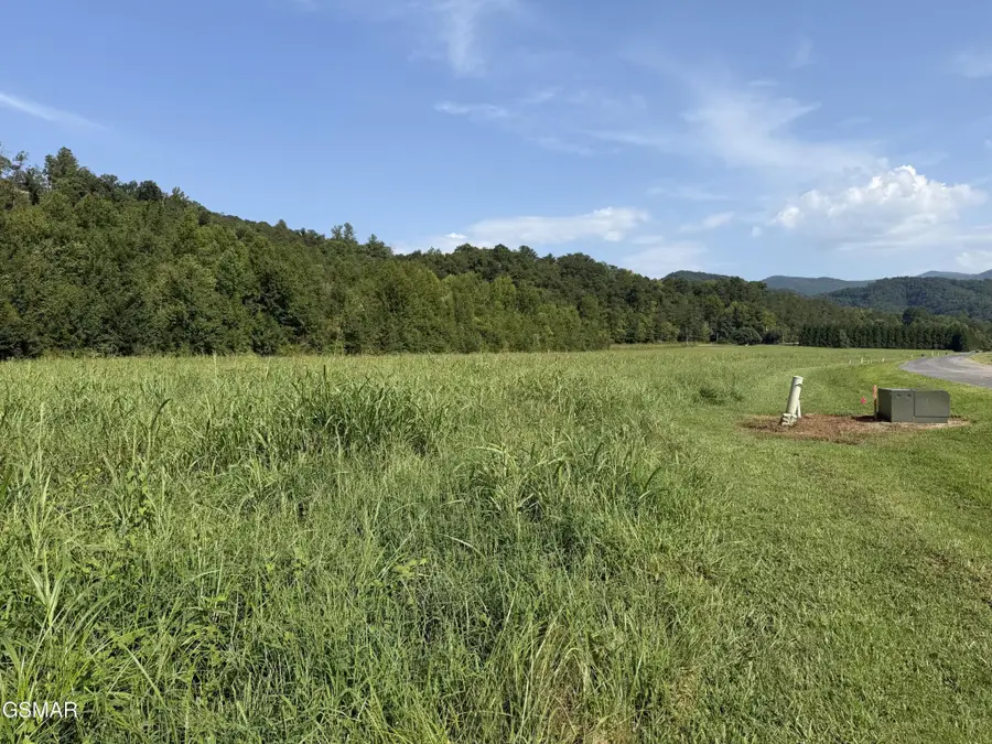 146 River Rapids Way, Del Rio, TN 37727 - #3