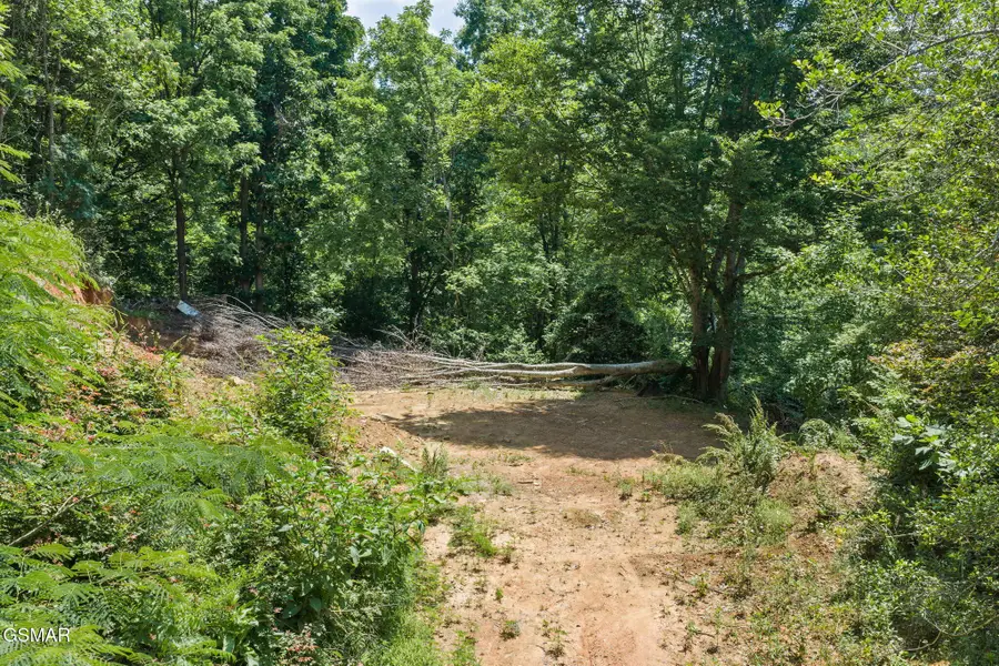 520 Verless Ogle Road, Sevierville, TN 37876 - #2