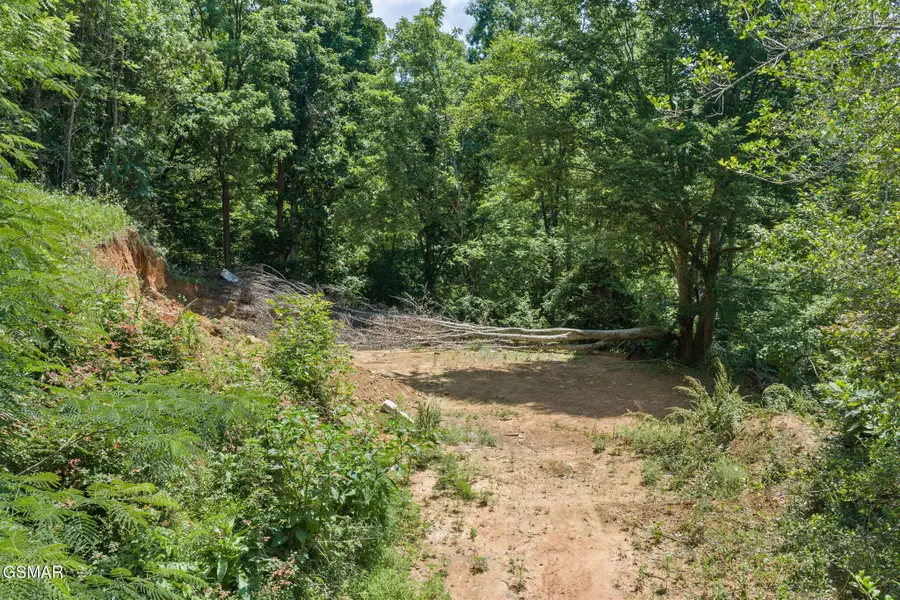 520 Verless Ogle Road, Sevierville, TN 37876 - #3