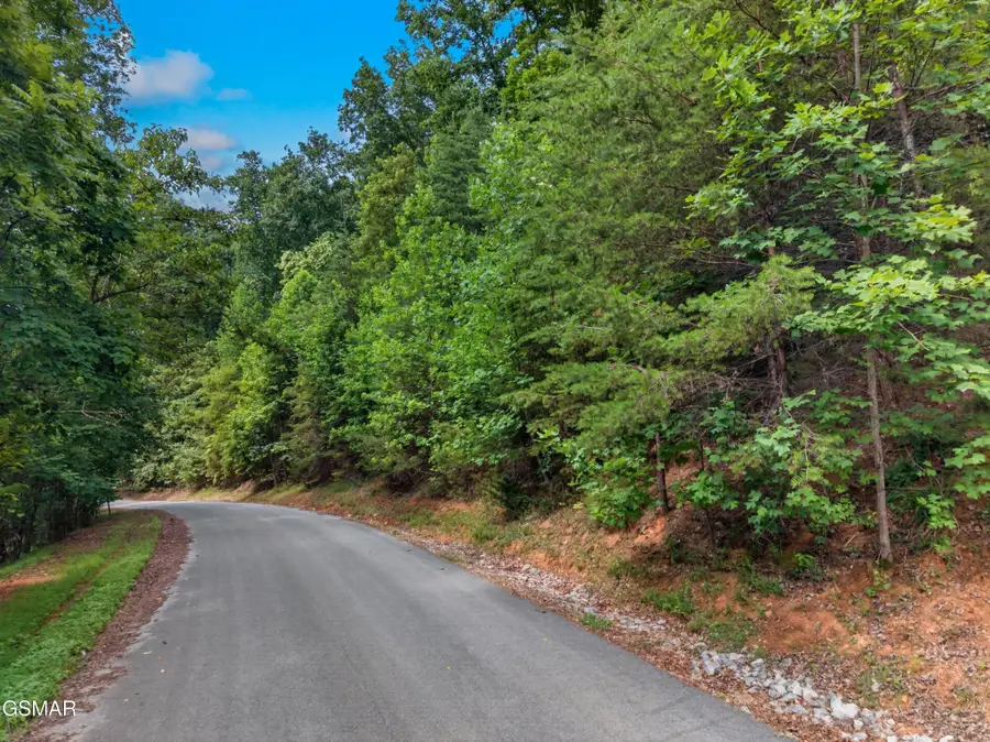 452 Silver Trail, New Tazewell, TN 37825 - #2