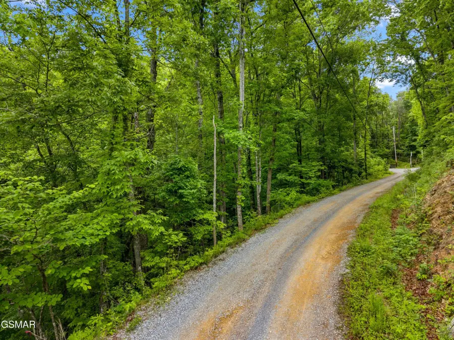 11 Red Bone Way, Sevierville, TN 37876 - #2