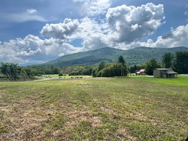 5420 Cocke County Line Road, Cosby, TN 37722