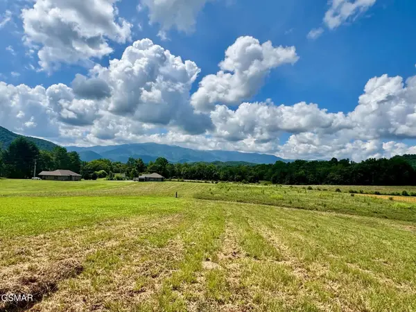 5418 Cocke County Line Road, Cosby, TN 37722