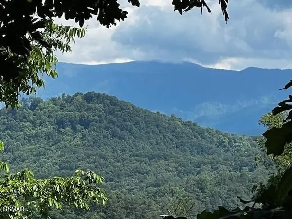 0 Chinquapin Drive, Sevierville, TN 37862