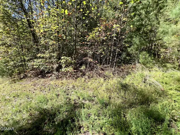 561 Creek Hollow Way, Sevierville, TN 37876