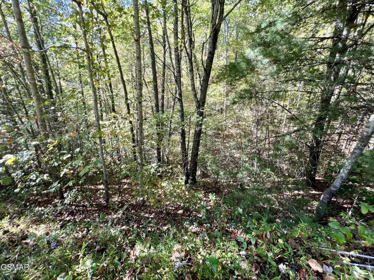 6 Creek Hollow Way, Sevierville, TN 37876 - #1