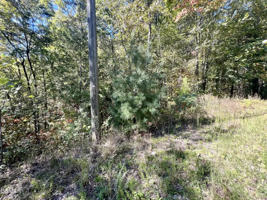 6 Creek Hollow Way, Sevierville, TN 37876 - #3