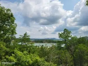 18 Bay View Point, Sevierville, TN 37876 - #3