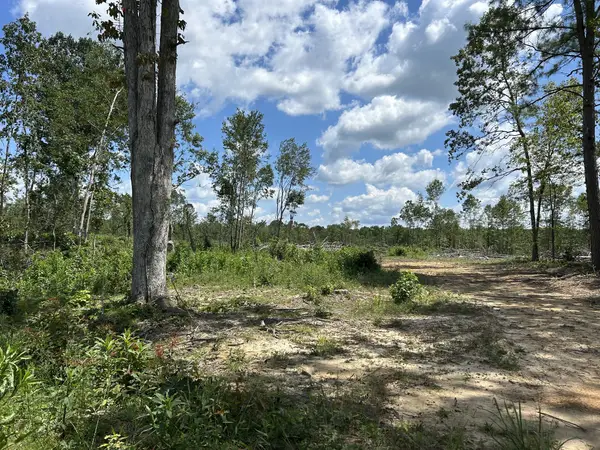 0 Wynn Rd, Big Sandy, TN 38221