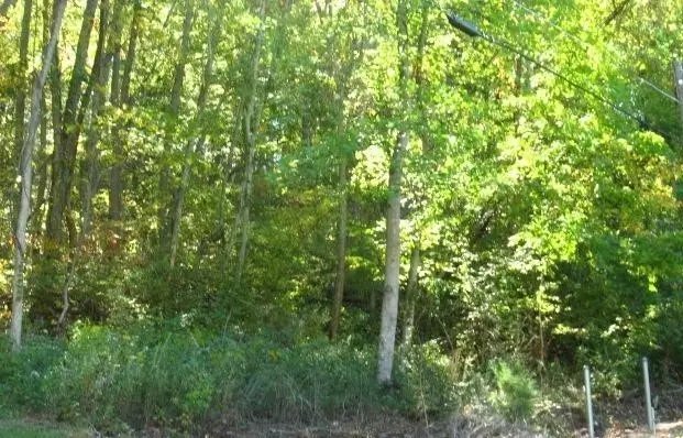 208 Aparna Ct, Whites Creek, TN 37189 - #2