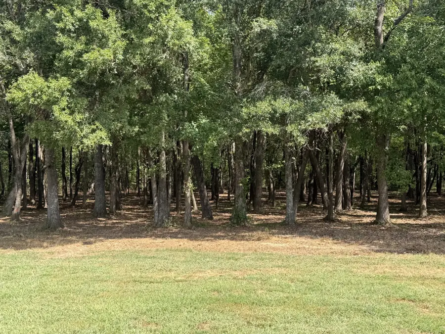 2 Newt Mcknight Rd, McMinnville, TN 37110 - #2
