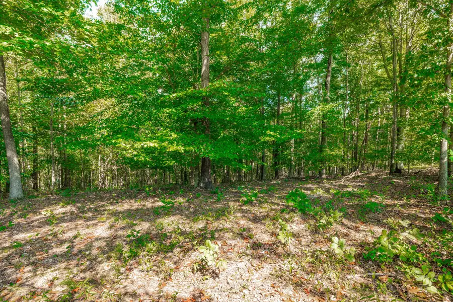 0 Spring Hollow Rd, Lafayette, TN 37083 - #2