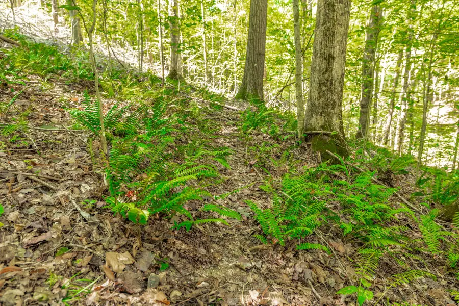 0 Spring Hollow Rd, Lafayette, TN 37083 - #3