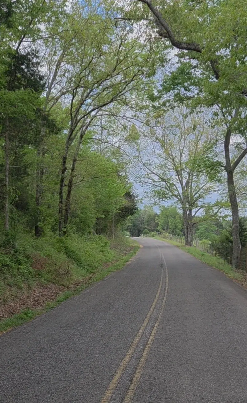 0 Red Bank Creek Road, Lobelville, TN 37097 - #3