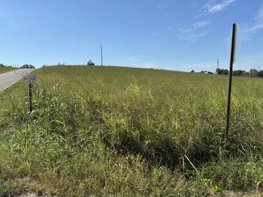 1234 Oak Knob Road, Lafayette, TN 37083 - #3