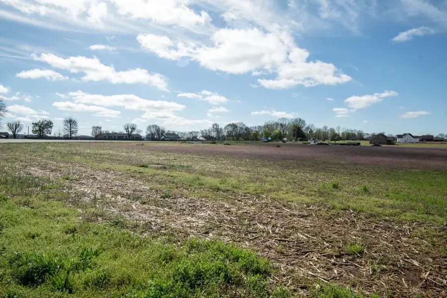 0 South Cross Bridges Road, Mount Pleasant, TN 38474 - #2