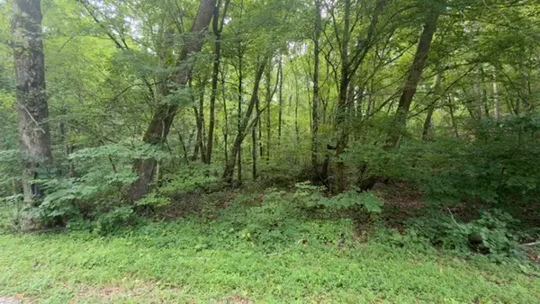 0 Brush Creek Rd, Lawrenceburg, TN 38464