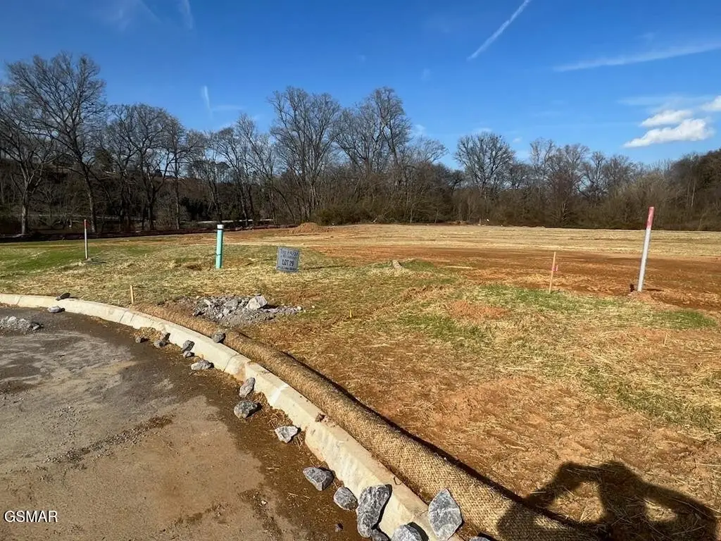 29 Tributary Ln, Sevierville, TN 37876 - #1