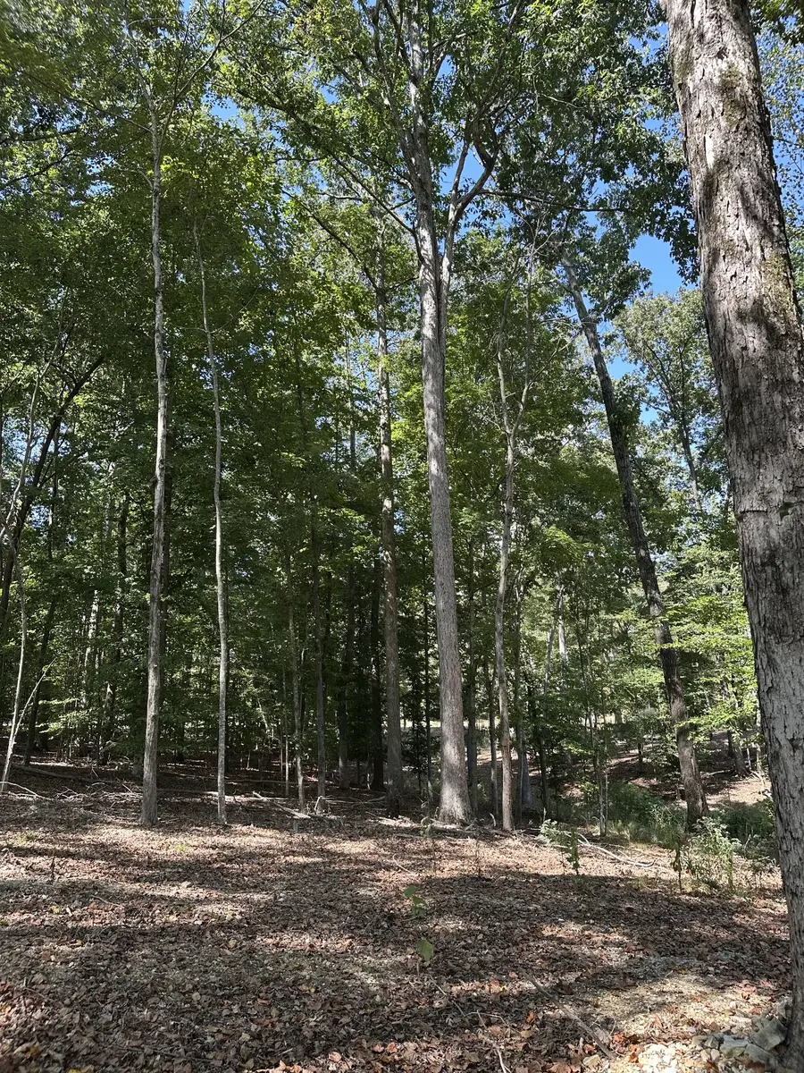 33 Heron Point, Tullahoma, TN 37388 - #2