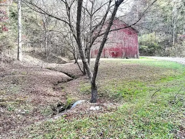 1107 Momma Bear Way, Sevierville, TN 37876 - #2
