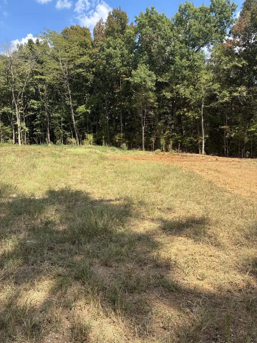 3967 River Ridge Dr, Lewisburg, TN 37091 - #3