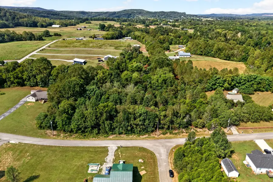 54 Hidden River Ave, Sparta, TN 38583 - #2