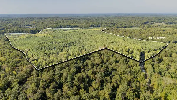 1 Baudy James Rd, Cedar Grove, TN 38321