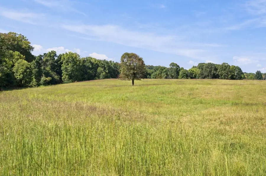 1 Highway 46, Bon Aqua, TN 37025 - #2