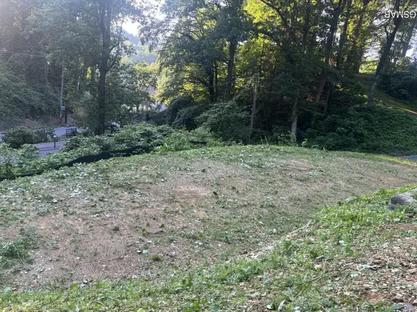 229 Silverbell Lane, Gatlinburg, TN 37738