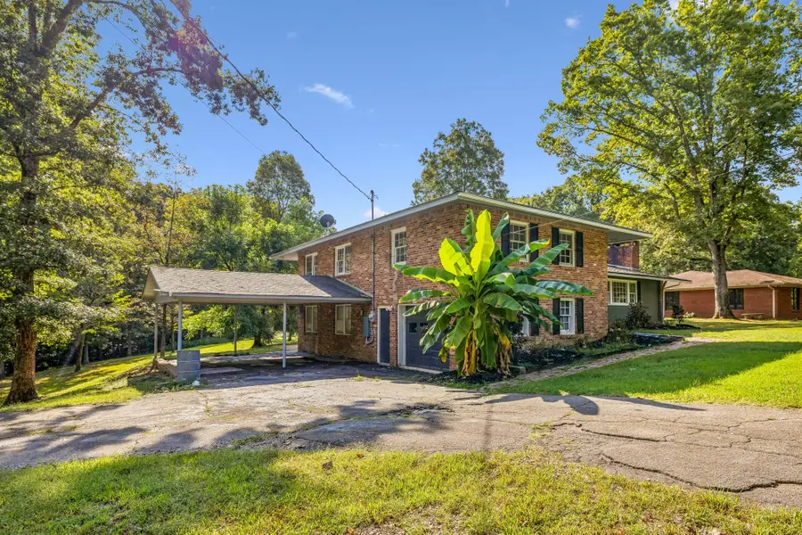 123 Cedar Hill Dr, Waverly, TN 37185 - #2