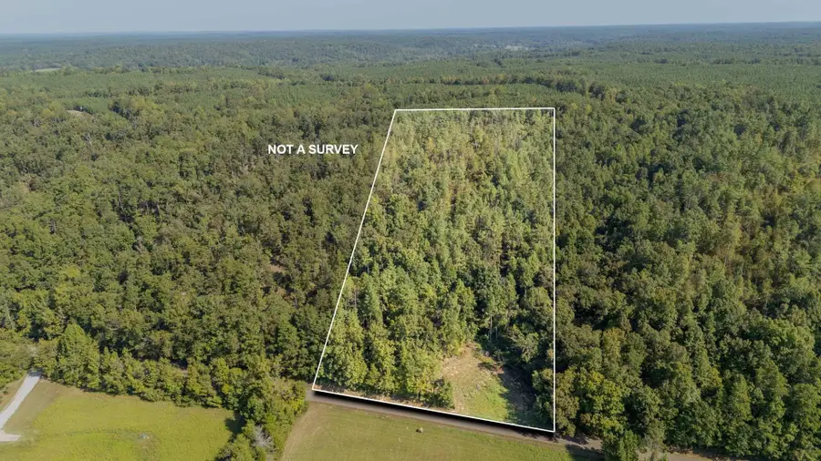 4125 Cherry Chapel Loop, Savannah, TN 38372 - #2