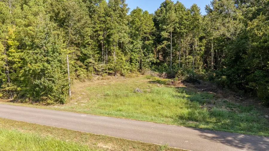 4125 Cherry Chapel Loop, Savannah, TN 38372 - #3
