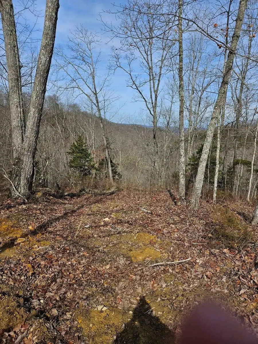 68 Malone Rdg, Albany, KY 42602 - #3