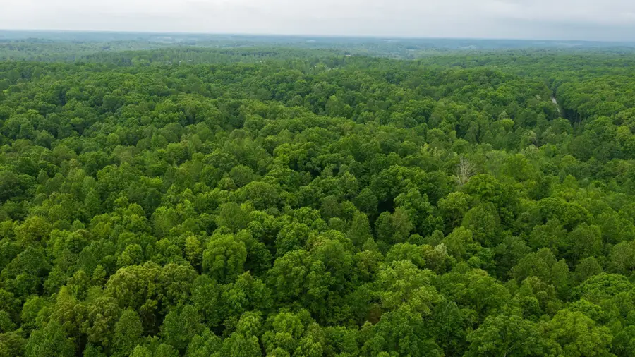 2100 Highway 13, Erin, TN 37061 - #3