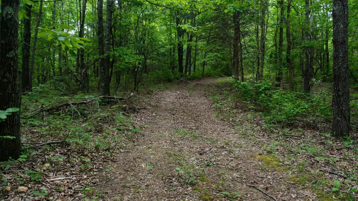2100 Highway 13, Erin, TN 37061 - #1