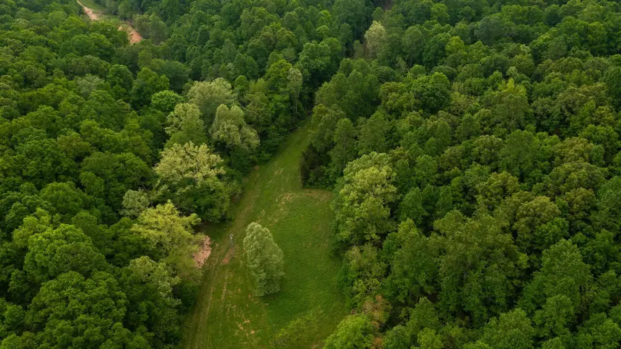 2100 Highway 13, Erin, TN 37061 - #3