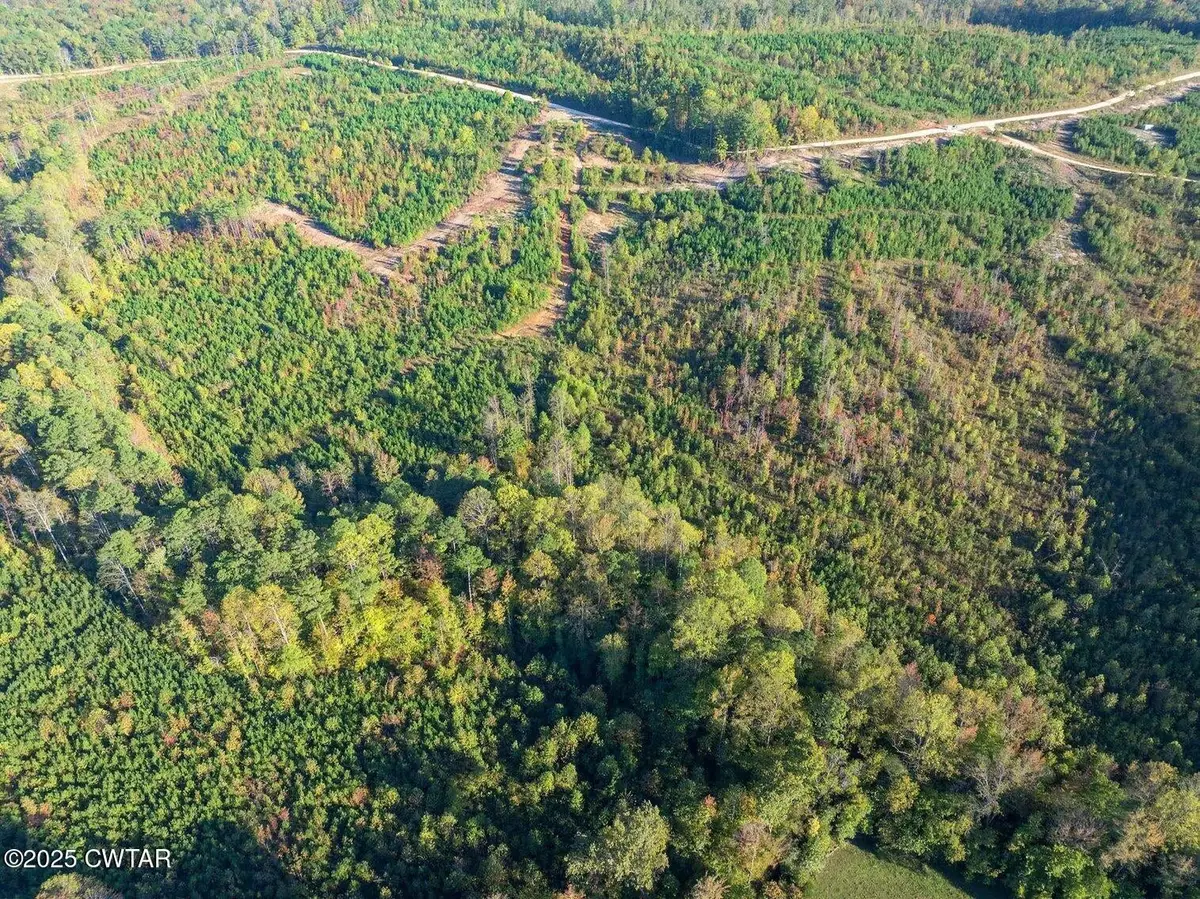 0 Tucker Road, Bath Springs, TN 38311 - #1