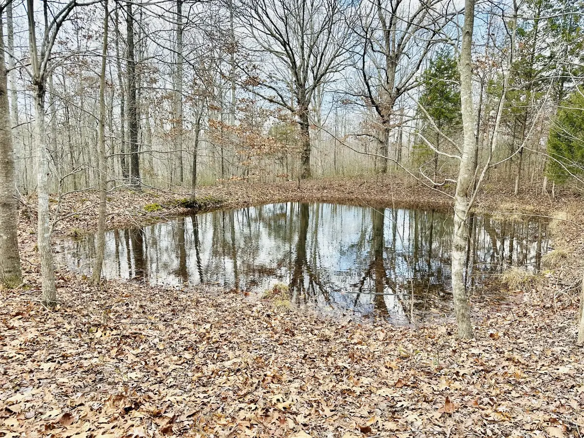 2100 Highway 13, Erin, TN 37061 - #1