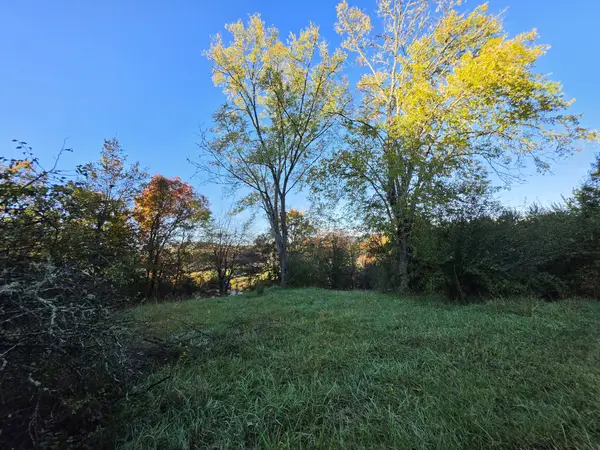4 Rock Avenue, Palmer, TN 37365