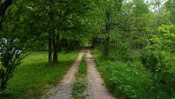 2100 Highway 13, Erin, TN 37061