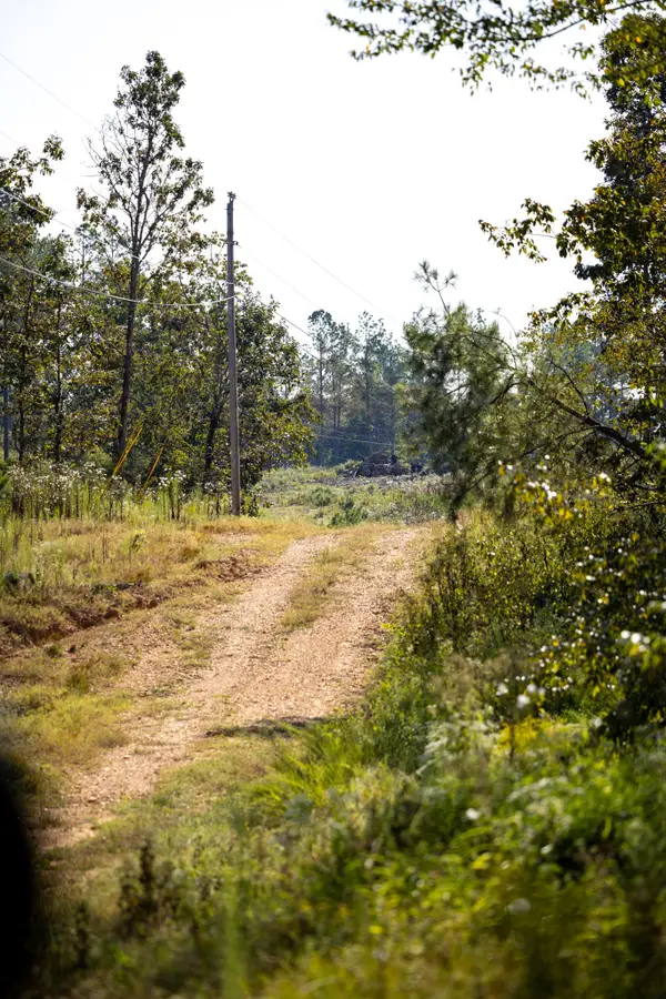 0 Second Creek Road, Lutts, TN 38471