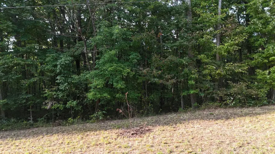 11 Poston Drive, Monterey, TN 38574 - #2