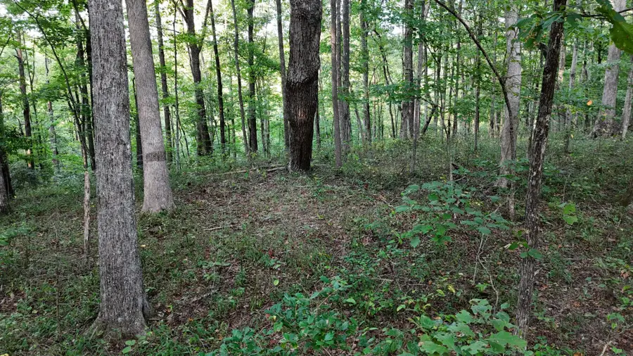 11 Poston Drive, Monterey, TN 38574 - #3
