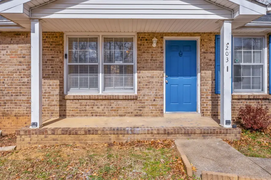 203 Mill Creek Rd, Clarksville, TN 37042 - #2