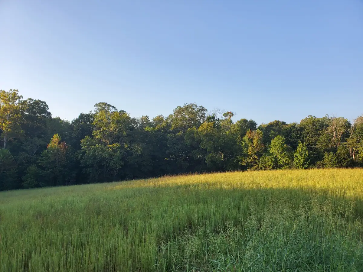 2242 Shelton Ferry Rd, Southside, TN 37171 - #1