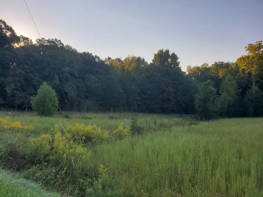 2242 Shelton Ferry Rd, Southside, TN 37171 - #2