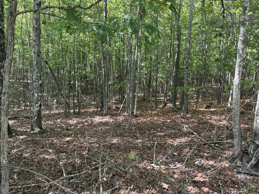 0 2 Lake Trail, Dunlap, TN 37327 - #3